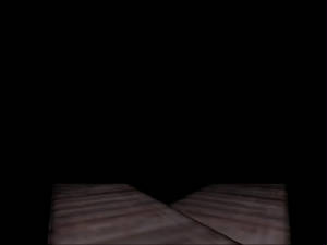 watchyourstep.jpg